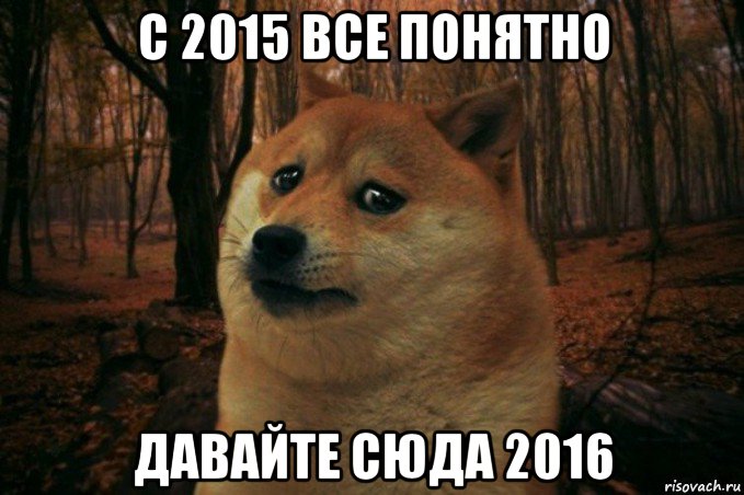 с 2015 все понятно давайте сюда 2016, Мем SAD DOGE