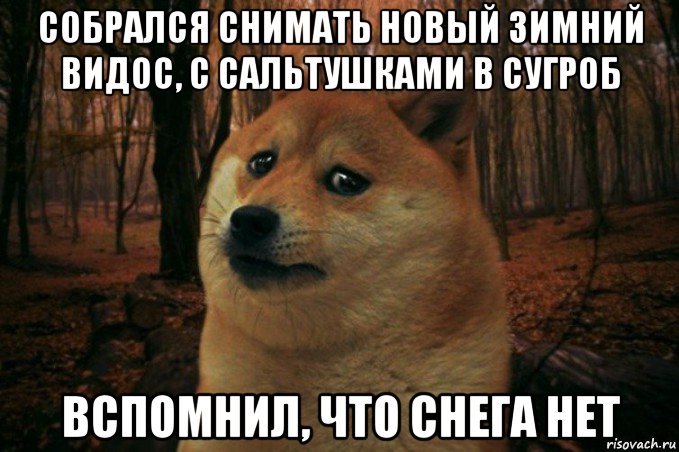 собрался снимать новый зимний видос, с сальтушками в сугроб вспомнил, что снега нет, Мем SAD DOGE