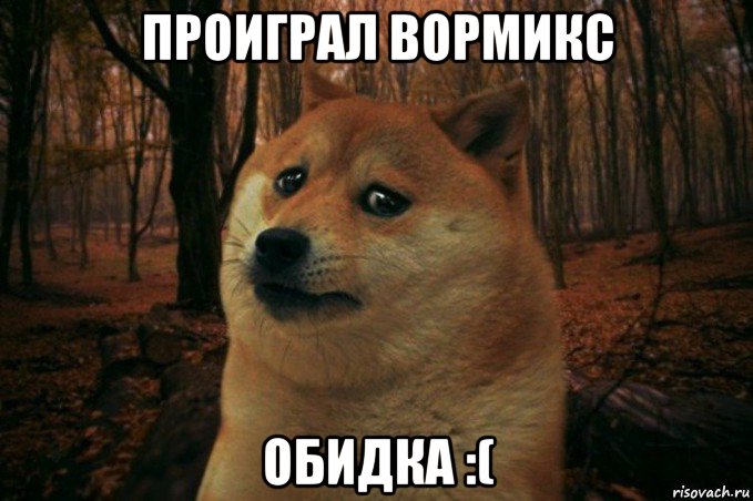 проиграл вормикс обидка :(, Мем SAD DOGE