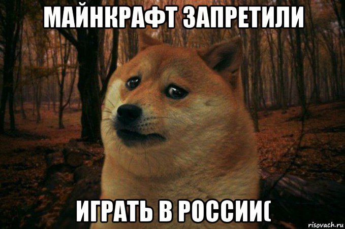 майнкрафт запретили играть в россии(, Мем SAD DOGE