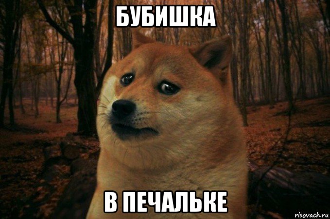 бубишка в печальке, Мем SAD DOGE