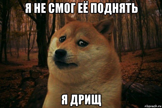 я не смог её поднять я дрищ, Мем SAD DOGE