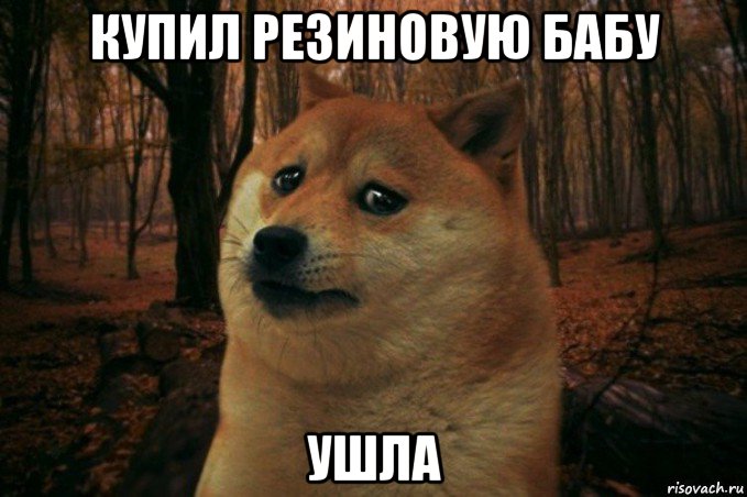 купил резиновую бабу ушла, Мем SAD DOGE