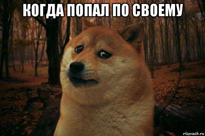 когда попал по своему , Мем SAD DOGE