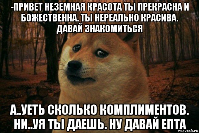 -привет неземная красота ты прекрасна и божественна. ты нереально красива. давай знакомиться а..уеть сколько комплиментов. ни..уя ты даешь. ну давай епта, Мем SAD DOGE