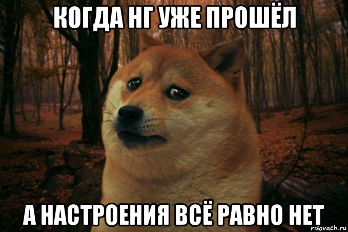 когда нг уже прошёл а настроения всё равно нет, Мем SAD DOGE