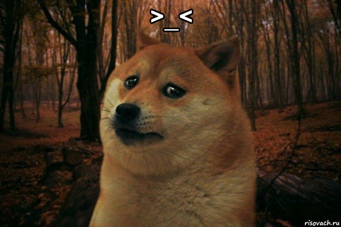 >_< , Мем SAD DOGE