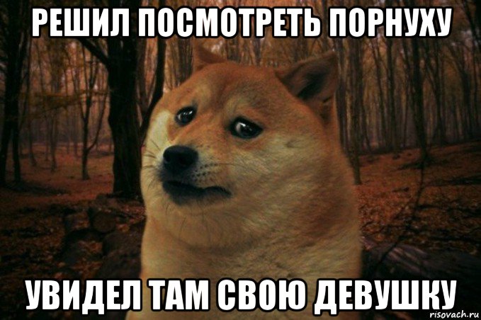 решил посмотреть порнуху увидел там свою девушку, Мем SAD DOGE