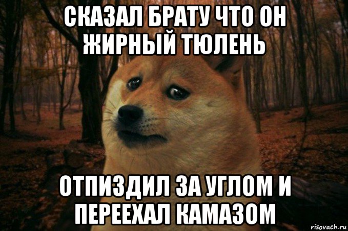 сказал брату что он жирный тюлень отпиздил за углом и переехал камазом, Мем SAD DOGE