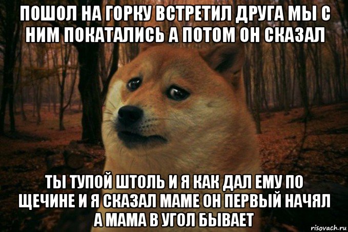 пошол на горку встретил друга мы с ним покатались а потом он сказал ты тупой штоль и я как дал ему по щечине и я сказал маме он первый начял а мама в угол бывает, Мем SAD DOGE