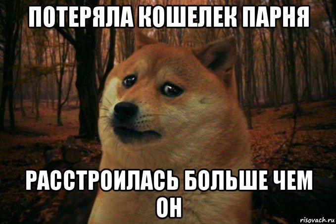 потеряла кошелек парня расстроилась больше чем он, Мем SAD DOGE