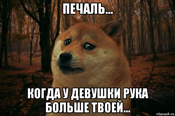 печаль... когда у девушки рука больше твоей..., Мем SAD DOGE