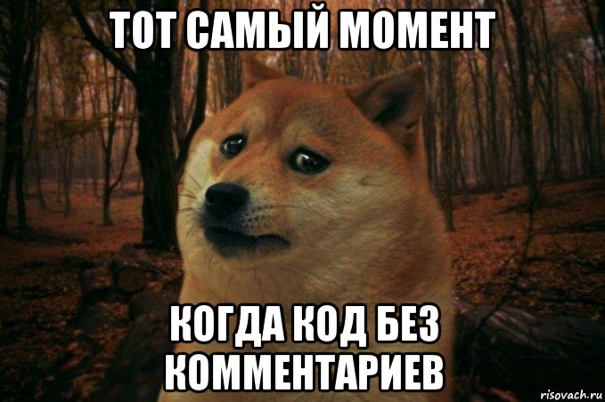 тот самый момент когда код без комментариев, Мем SAD DOGE