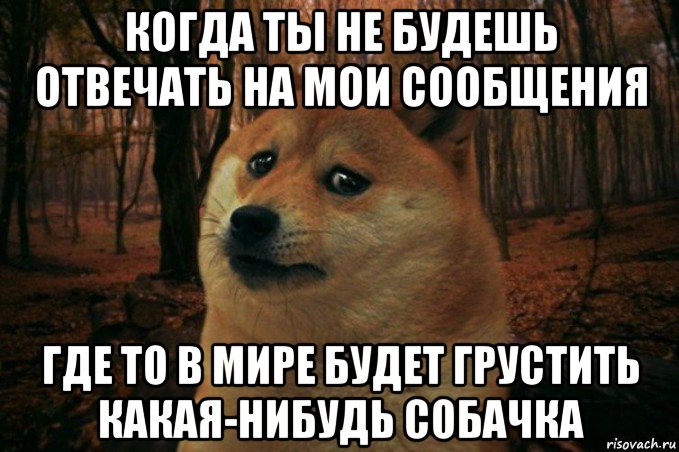 когда ты не будешь отвечать на мои сообщения где то в мире будет грустить какая-нибудь собачка, Мем SAD DOGE