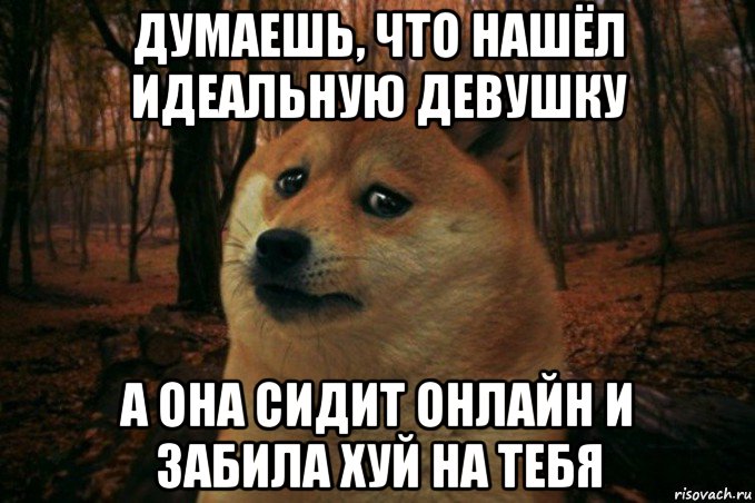 думаешь, что нашёл идеальную девушку а она сидит онлайн и забила хуй на тебя, Мем SAD DOGE