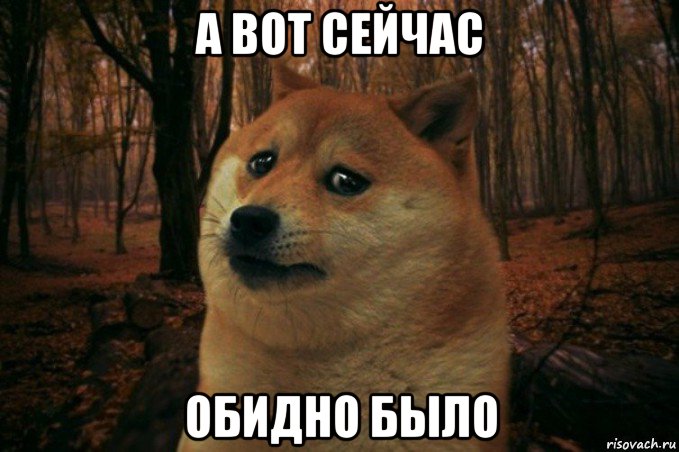 а вот сейчас обидно было, Мем SAD DOGE