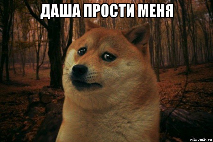 даша прости меня , Мем SAD DOGE