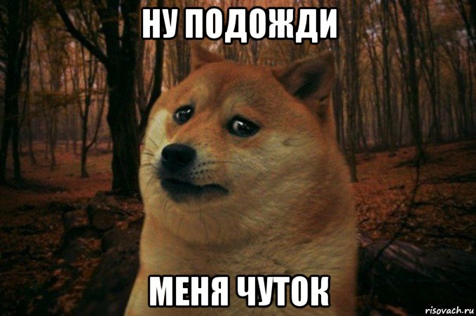 ну подожди меня чуток, Мем SAD DOGE