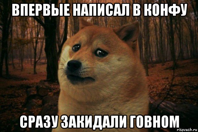 впервые написал в конфу сразу закидали говном, Мем SAD DOGE