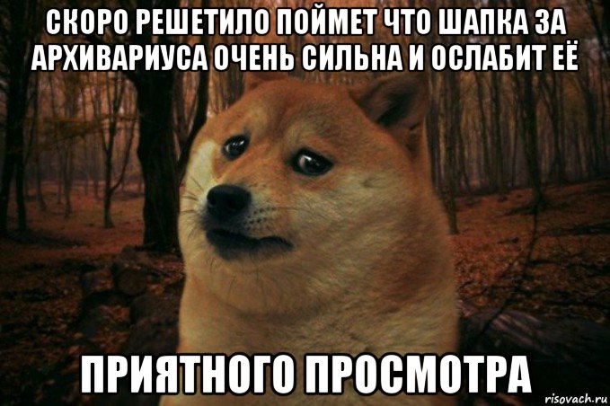 скоро решетило поймет что шапка за архивариуса очень сильна и ослабит её приятного просмотра, Мем SAD DOGE