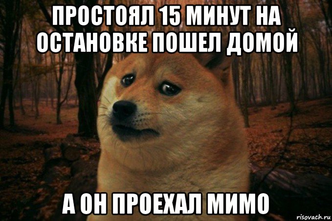 простоял 15 минут на остановке пошел домой а он проехал мимо, Мем SAD DOGE