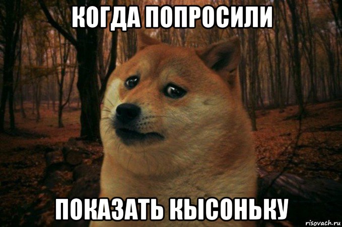 когда попросили показать кысоньку, Мем SAD DOGE