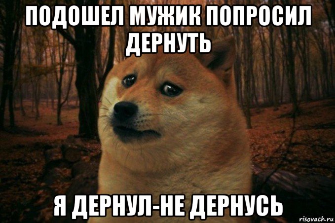 подошел мужик попросил дернуть я дернул-не дернусь, Мем SAD DOGE