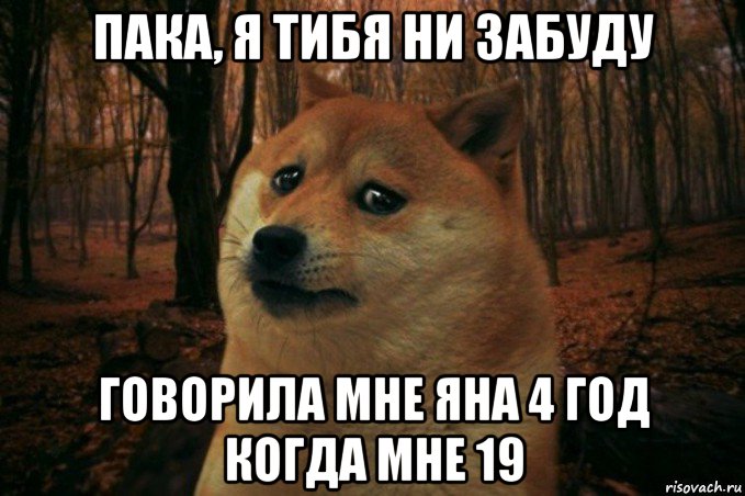 пака, я тибя ни забуду говорила мне яна 4 год когда мне 19, Мем SAD DOGE