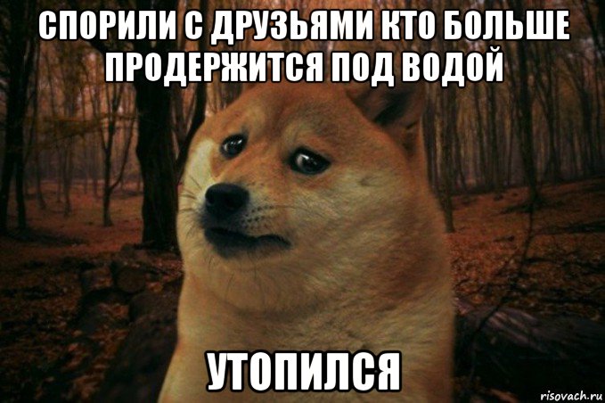 спорили с друзьями кто больше продержится под водой утопился, Мем SAD DOGE