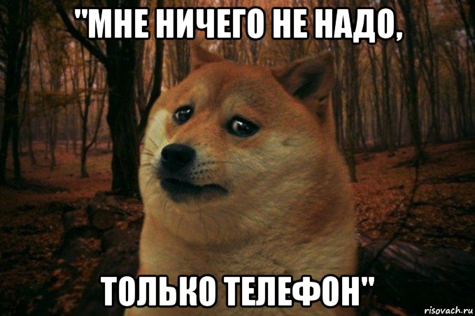 "мне ничего не надо, только телефон", Мем SAD DOGE