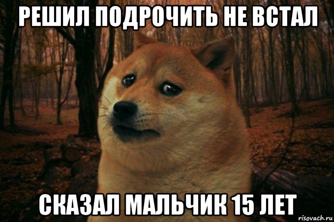 решил подрочить не встал сказал мальчик 15 лет, Мем SAD DOGE