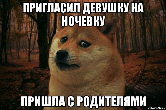 пригласил девушку на ночевку пришла с родителями, Мем SAD DOGE