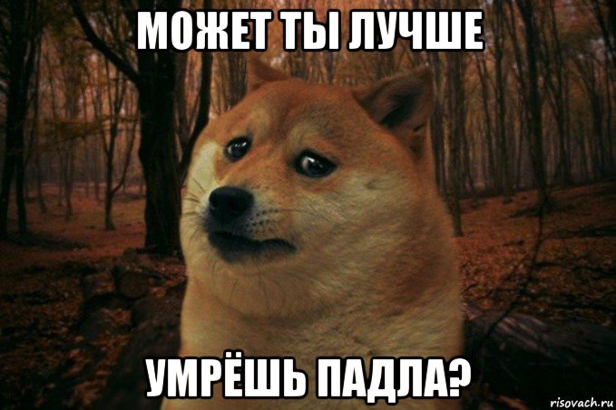 может ты лучше умрёшь падла?, Мем SAD DOGE