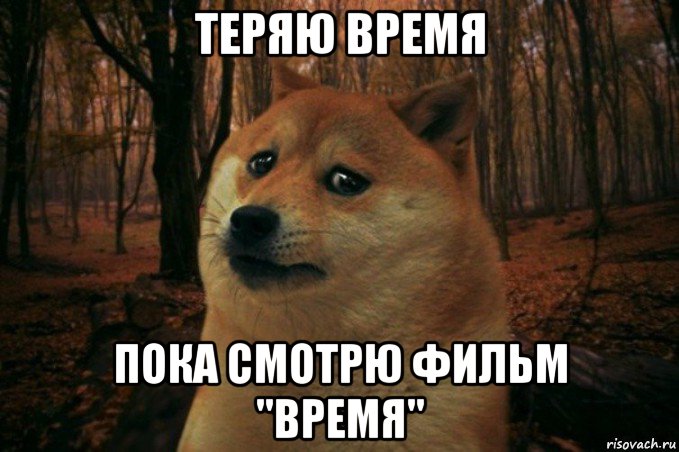 теряю время пока смотрю фильм "время", Мем SAD DOGE