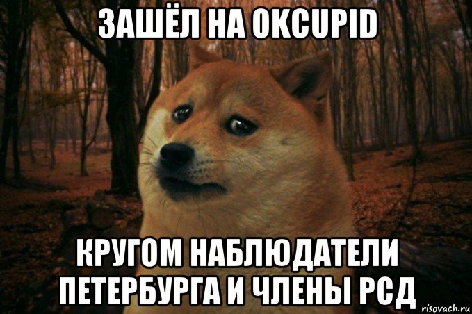 зашёл на okcupid кругом наблюдатели петербурга и члены рсд, Мем SAD DOGE