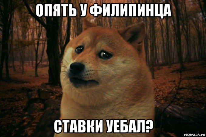 опять у филипинца ставки уебал?, Мем SAD DOGE