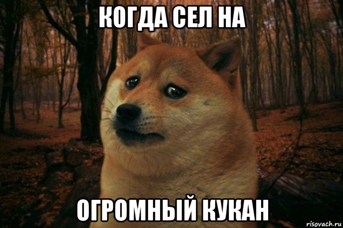 когда сел на огромный кукан, Мем SAD DOGE