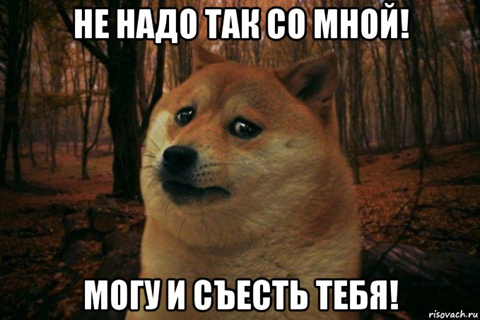 не надо так со мной! могу и съесть тебя!, Мем SAD DOGE