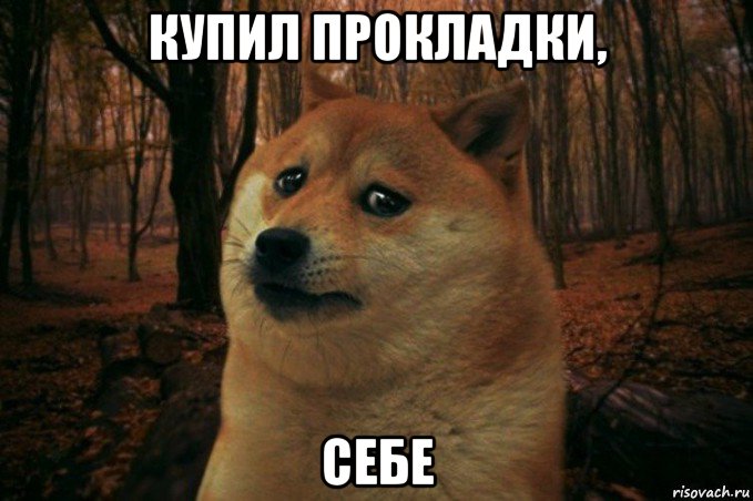 купил прокладки, себе, Мем SAD DOGE