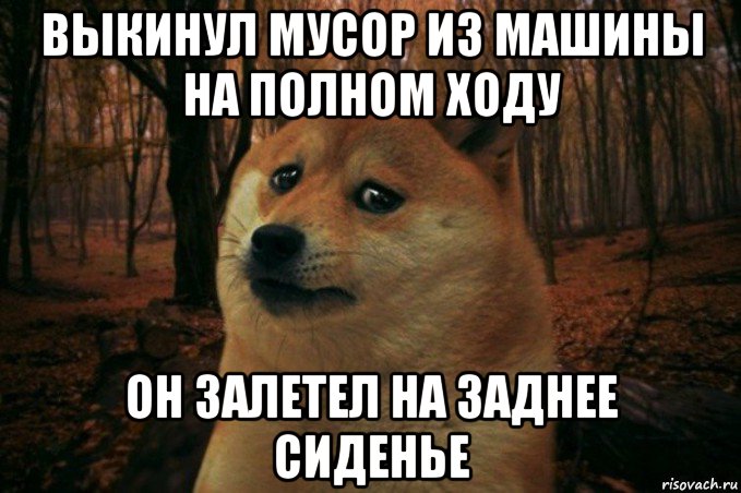 выкинул мусор из машины на полном ходу он залетел на заднее сиденье, Мем SAD DOGE