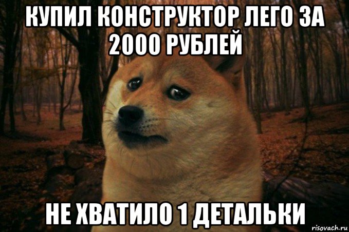 купил конструктор лего за 2000 рублей не хватило 1 детальки, Мем SAD DOGE