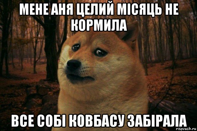 мене аня целий місяць не кормила все собі ковбасу забірала, Мем SAD DOGE