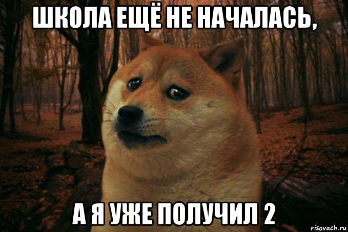 школа ещё не началась, а я уже получил 2, Мем SAD DOGE