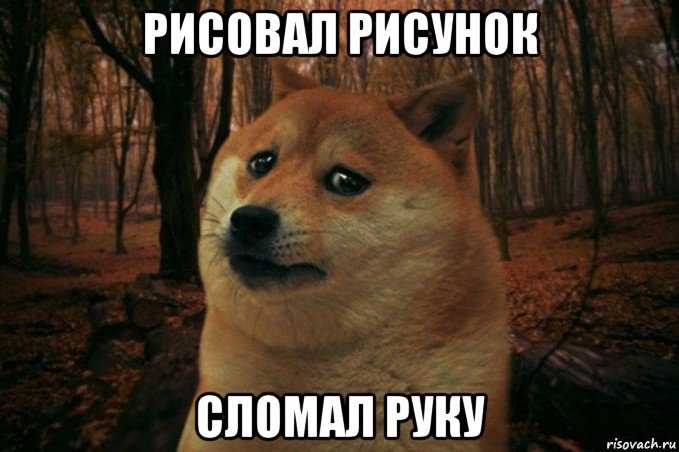 рисовал рисунок сломал руку, Мем SAD DOGE