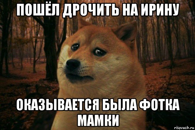 пошёл дрочить на ирину оказывается была фотка мамки, Мем SAD DOGE