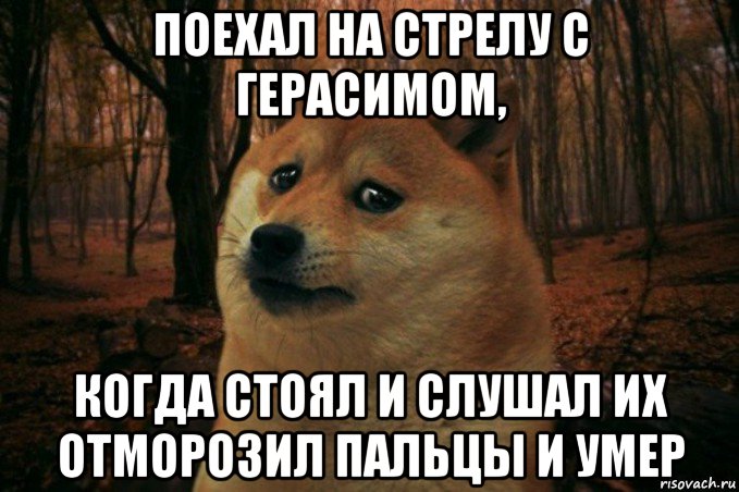 поехал на стрелу с герасимом, когда стоял и слушал их отморозил пальцы и умер, Мем SAD DOGE