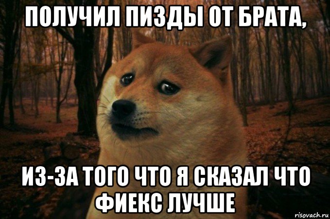 получил пизды от брата, из-за того что я сказал что фиекс лучше, Мем SAD DOGE