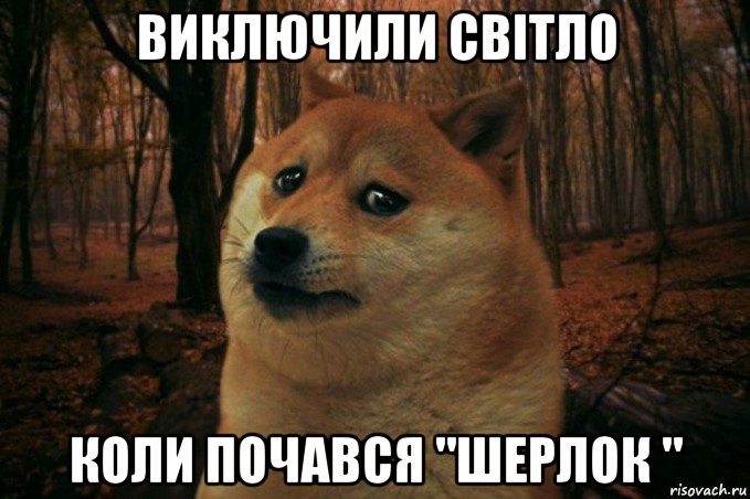 виключили світло коли почався "шерлок ", Мем SAD DOGE