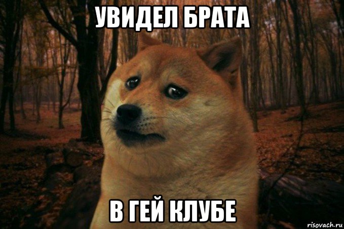 увидел брата в гей клубе, Мем SAD DOGE