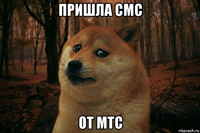 пришла смс от мтс, Мем SAD DOGE